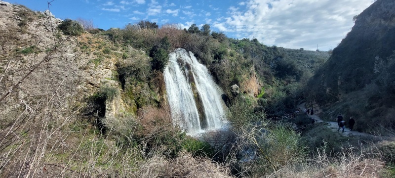 קובץ:2022-04-13T13 46 49.990044976293.jpg