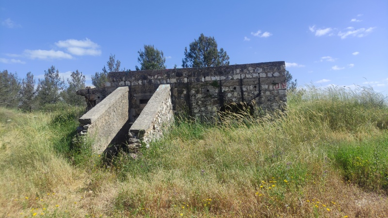 קובץ:2022-04-20T15 35 09.119152217536.jpg