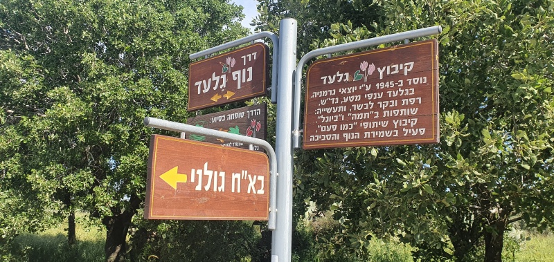 קובץ:2022-04-22T09 38 59.571874117382.jpg