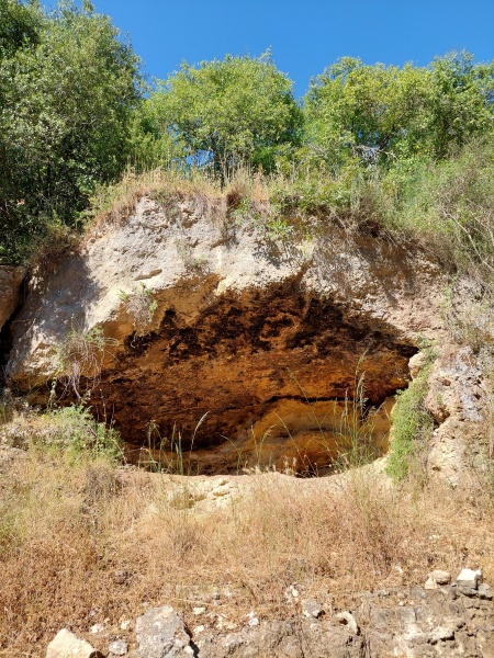 קובץ:2022-05-20T16 41 50.787942979091.jpg