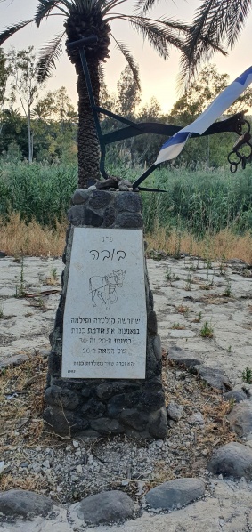 קובץ:2022-06-02T19 13 37.205110718850.jpg