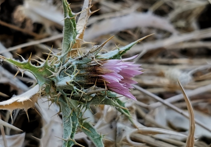 קובץ:2022-06-28T11 05 07.714816973201.jpg