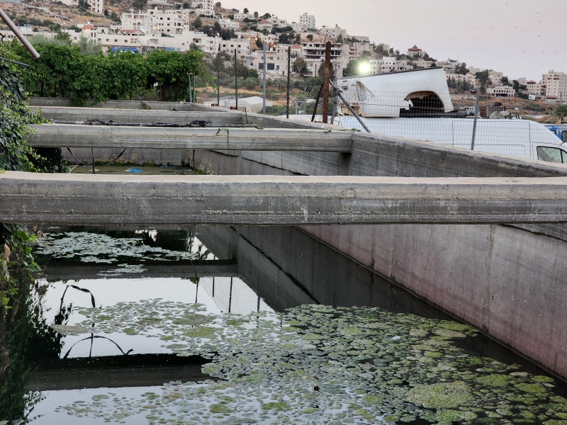 קובץ:2022-07-01T06 19 47.639659177886.jpg