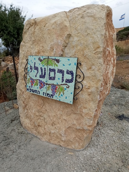 קובץ:2022-10-21T08 44 42.304312123711.jpg