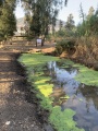 תמונה ממוזערת לגרסה מתאריך 22:08, 11 בנובמבר 2022