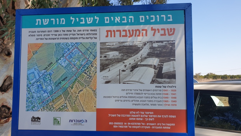 קובץ:2022-11-11T11 45 31.842306178600.jpg