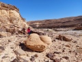 תמונה ממוזערת לגרסה מתאריך 13:02, 26 בנובמבר 2022