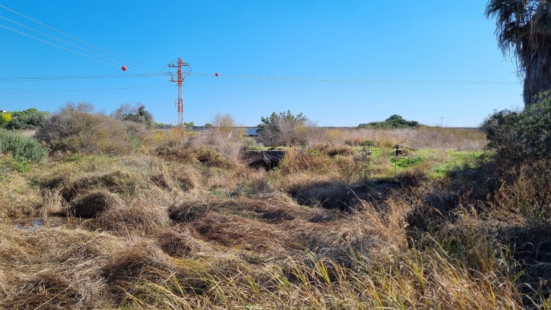 קובץ:2022-12-02T10 57 38.785160207187.jpg