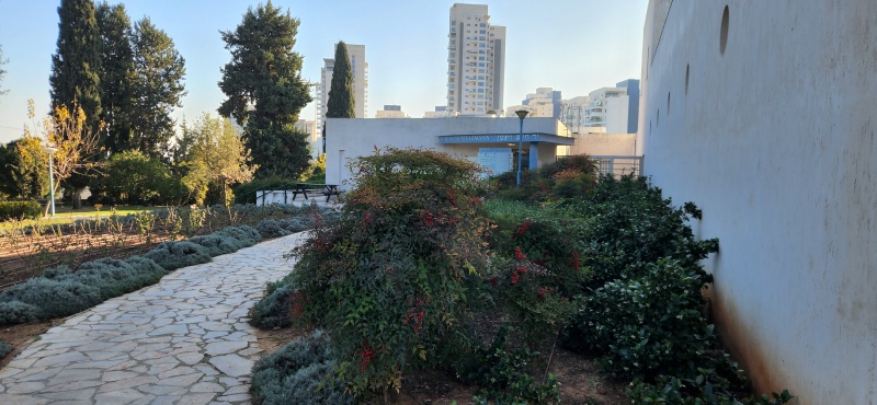 קובץ:2023-01-21T08 16 26.414717322568.jpg