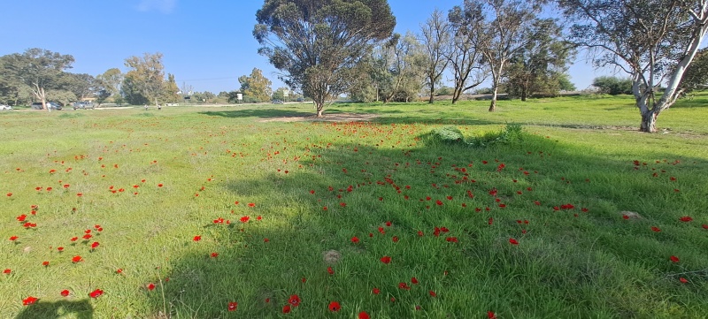 קובץ:2023-01-27T14 29 16.483674123069.jpg