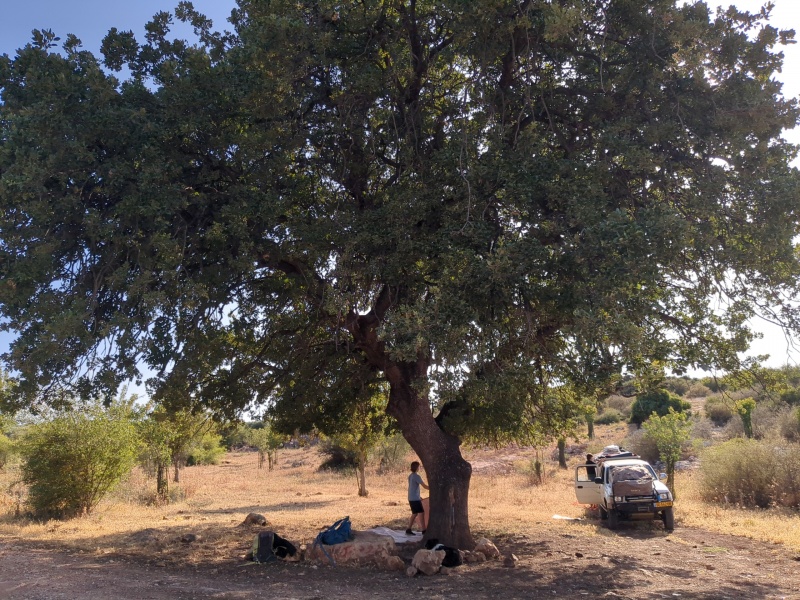 קובץ:2023-05-19T17 00 49.616159997938.jpg