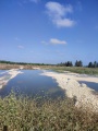 תמונה ממוזערת לגרסה מתאריך 05:15, 16 ביוני 2023