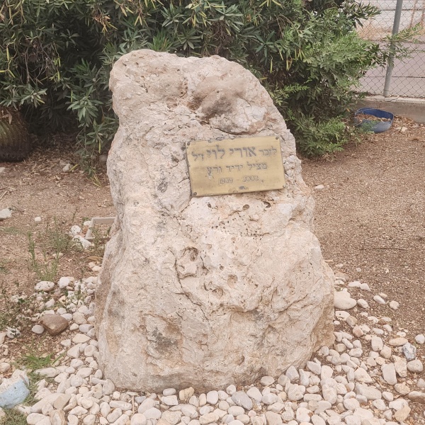 קובץ:2023-08-13T19 01 36.32633438654.jpg