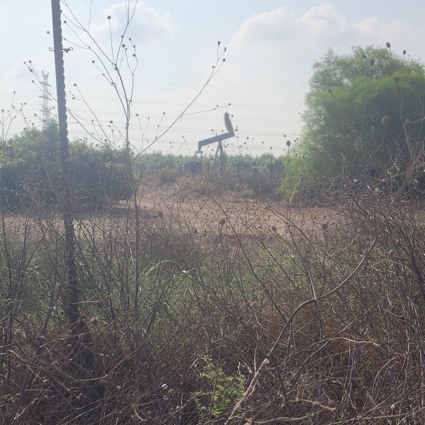 קובץ:2023-09-01T08 48 06.99625486216.jpg