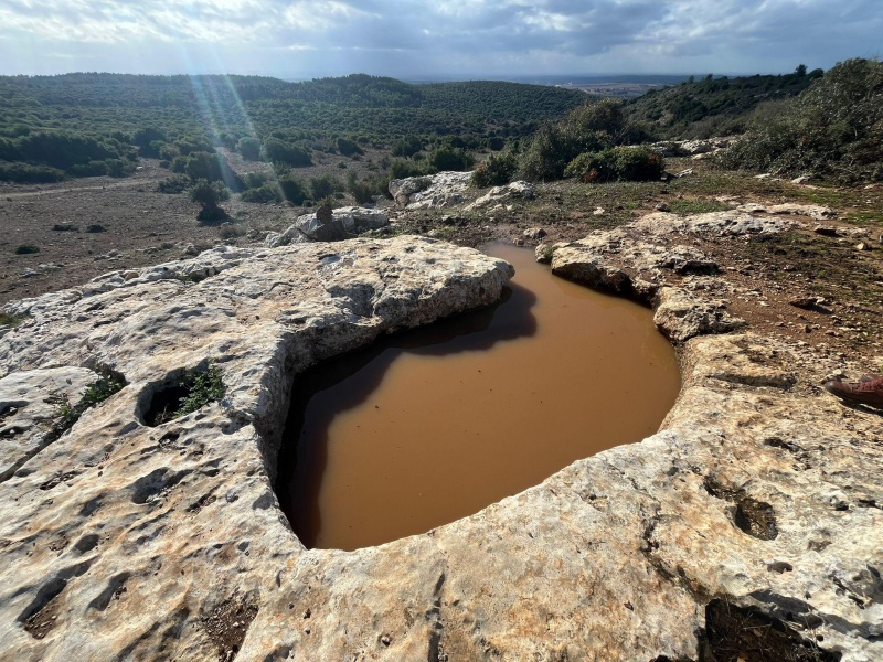 קובץ:2023-11-22T21 21 48.198592414402.jpg