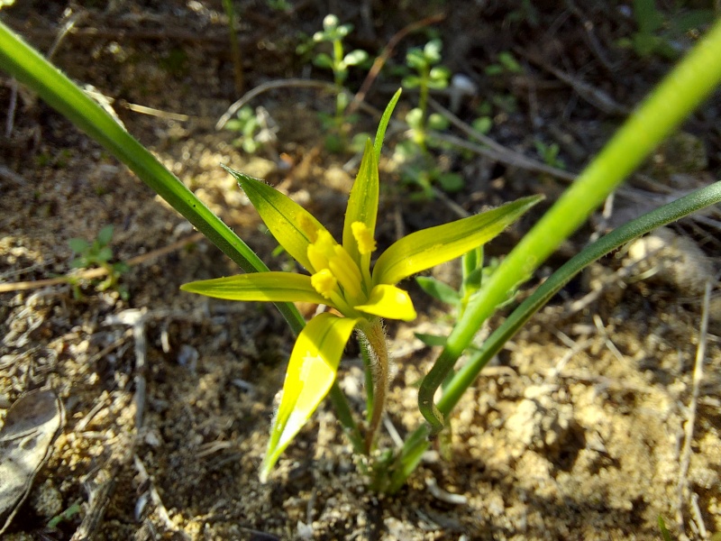 קובץ:2024-01-19T10 39 55.797895396231.jpg