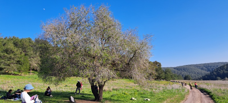 קובץ:2024-01-20T14 36 17.723842634425.jpg