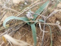 תמונה ממוזערת לגרסה מתאריך 10:02, 26 בינואר 2024