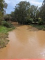 תמונה ממוזערת לגרסה מתאריך 11:20, 19 בפברואר 2024