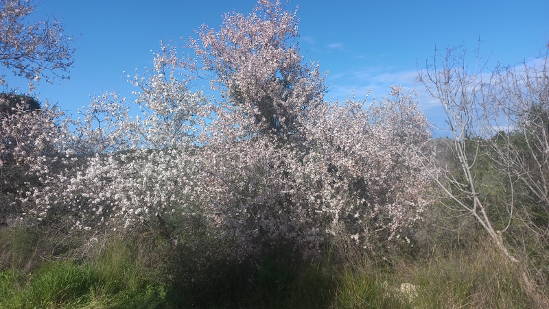 קובץ:2024-02-24T14 53 56.362079760031.jpg