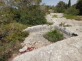 תמונה ממוזערת לגרסה מתאריך 14:49, 25 באפריל 2024