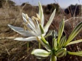 תמונה ממוזערת לגרסה מתאריך 05:15, 25 בספטמבר 2024