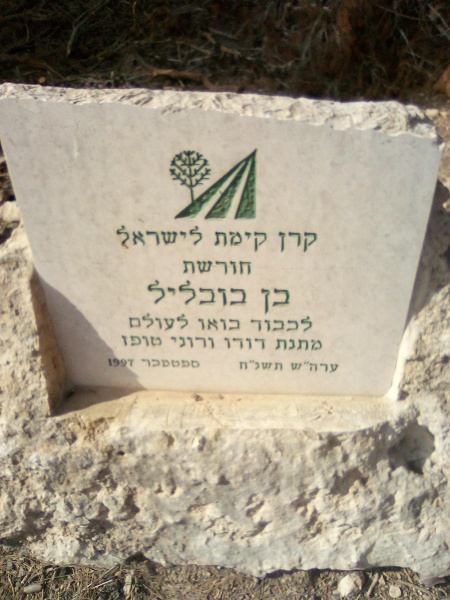 קובץ:2024-11-14T13 09 50.093960152151.jpg