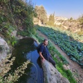 תמונה ממוזערת לגרסה מתאריך 10:03, 22 בנובמבר 2024