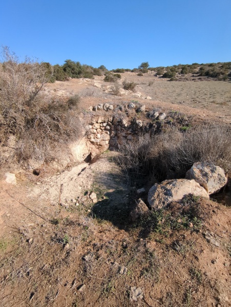 קובץ:2024-11-30T09 50 14.753240169050.jpg