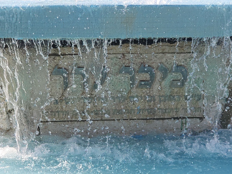 קובץ:2024-12-06T12 46 27.322223520118.jpg