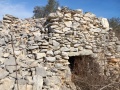 תמונה ממוזערת לגרסה מתאריך 12:52, 12 בדצמבר 2024