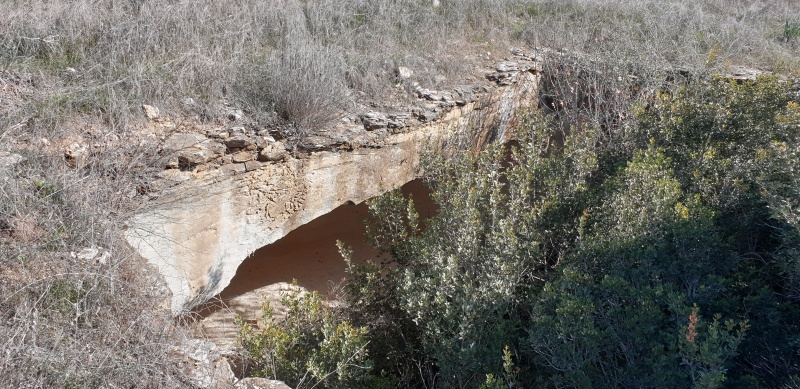 קובץ:2025-01-04T10 43 02.081370268088.jpg