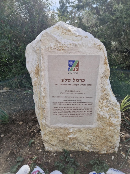 קובץ:2025-01-04T11 01 02.513010511247.jpg