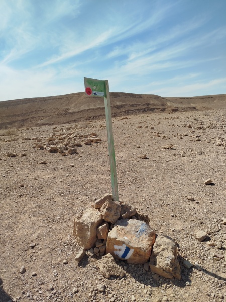 קובץ:2025-02-18T14 11 44.783782979110.jpg