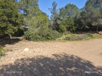 2025-03-12T14 40 29.149741663132.jpg