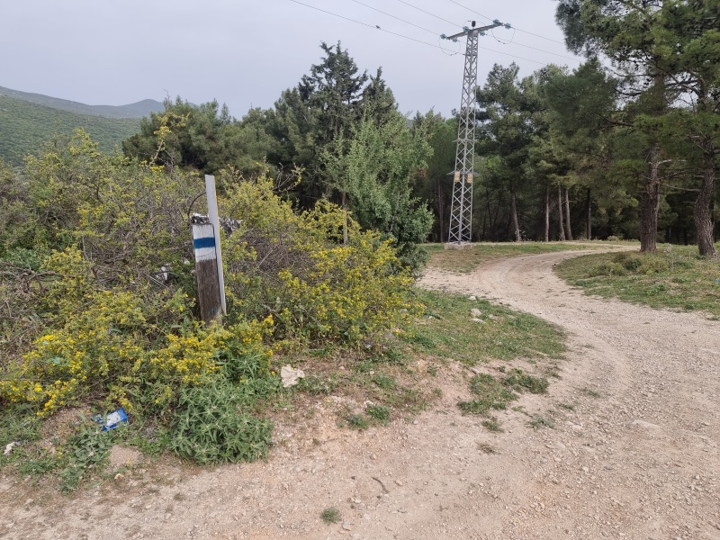 קובץ:2025-04-08T08 53 06.257542172324.jpg