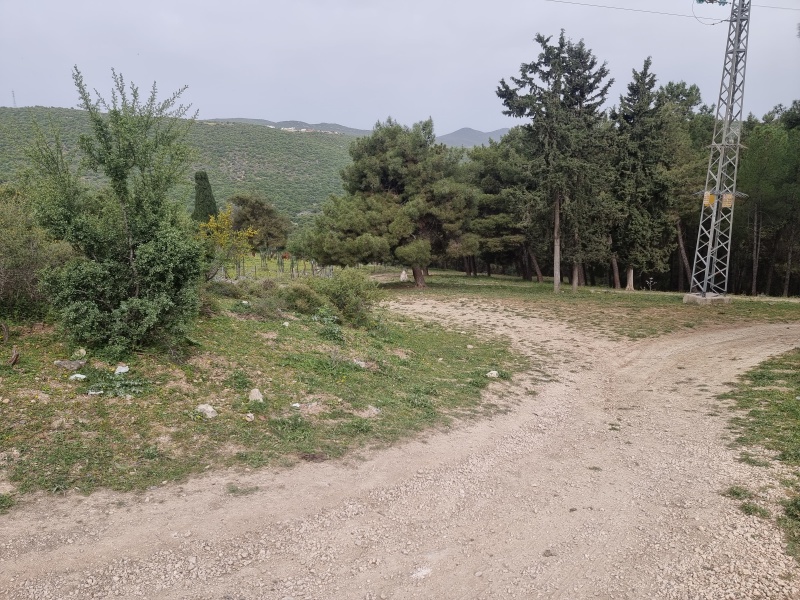 קובץ:2025-04-08T08 53 25.306366816418.jpg