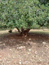 2025-04-09T10 53 00.523460249876.jpg