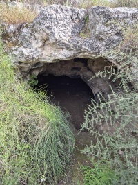 2025-04-13T15 01 05.024924110165.jpg