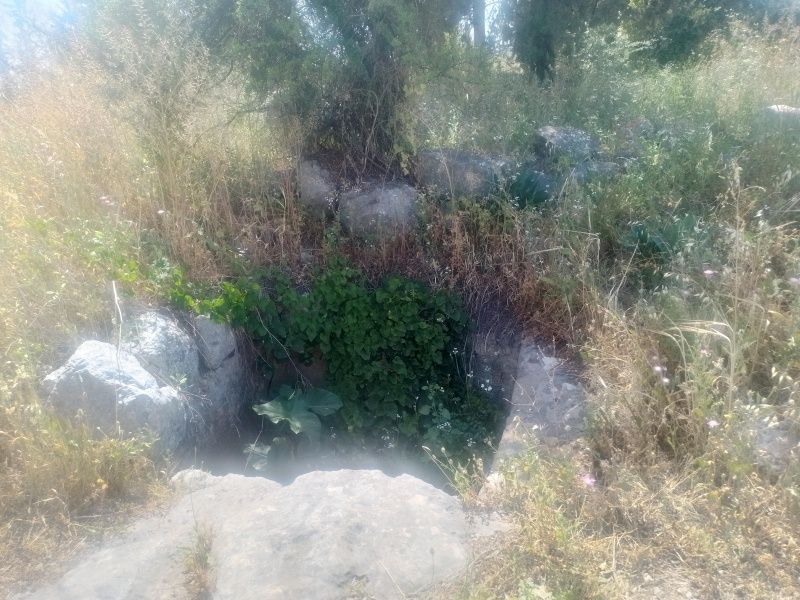 קובץ:2025-04-16T13 53 06.301061776978.jpg