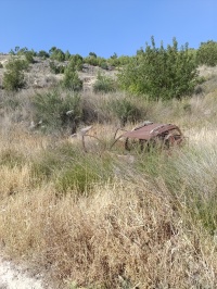 2025-04-22T16 53 18.264094908337.jpg