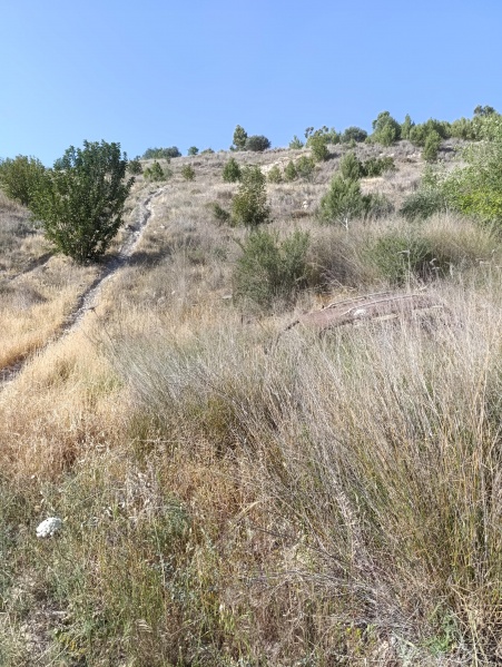 קובץ:2025-04-22T16 53 33.234960954265.jpg