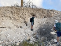 2025-04-25T06 53 48.63520454718.jpg