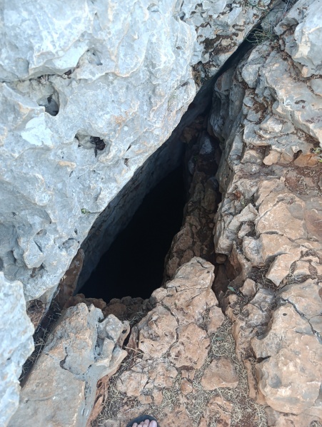 קובץ:2025-05-24T18 42 48.217972777625.jpg