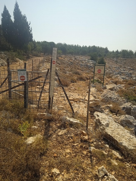 קובץ:2025-06-10T09 53 45.87485025430.jpg