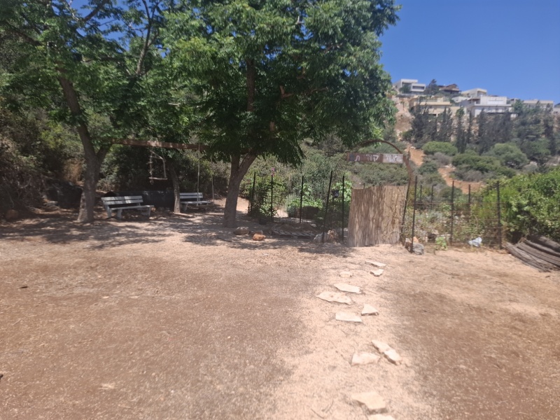 קובץ:2025-06-15T13 53 04.114757796236.jpg