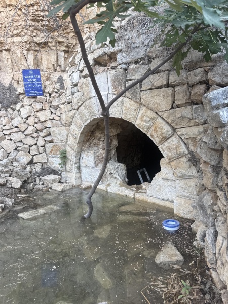 קובץ:2025-07-05T06 53 02.891159633192.jpg