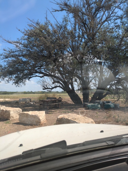 קובץ:2025-07-08T09 53 02.724047584802.jpg