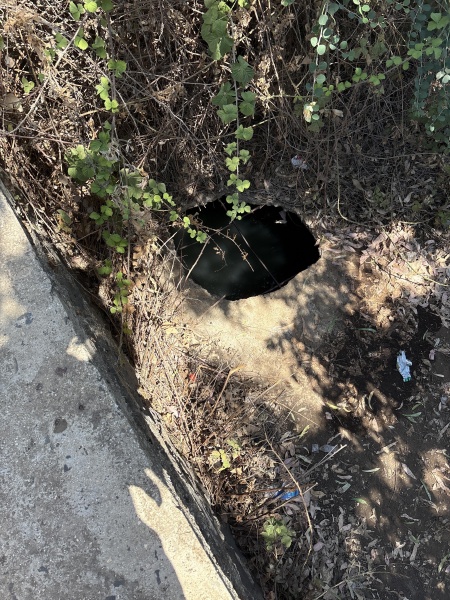 קובץ:2025-07-16T10 53 54.747669740963.jpg