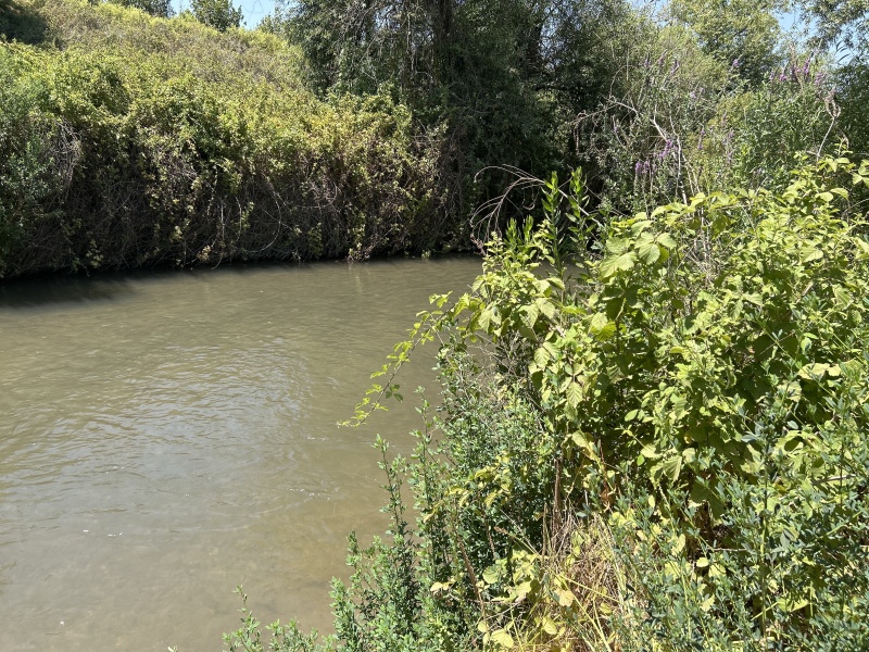 קובץ:2025-07-17T13 53 11.449210255659.jpg